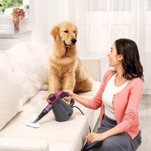 Steam Cleaner